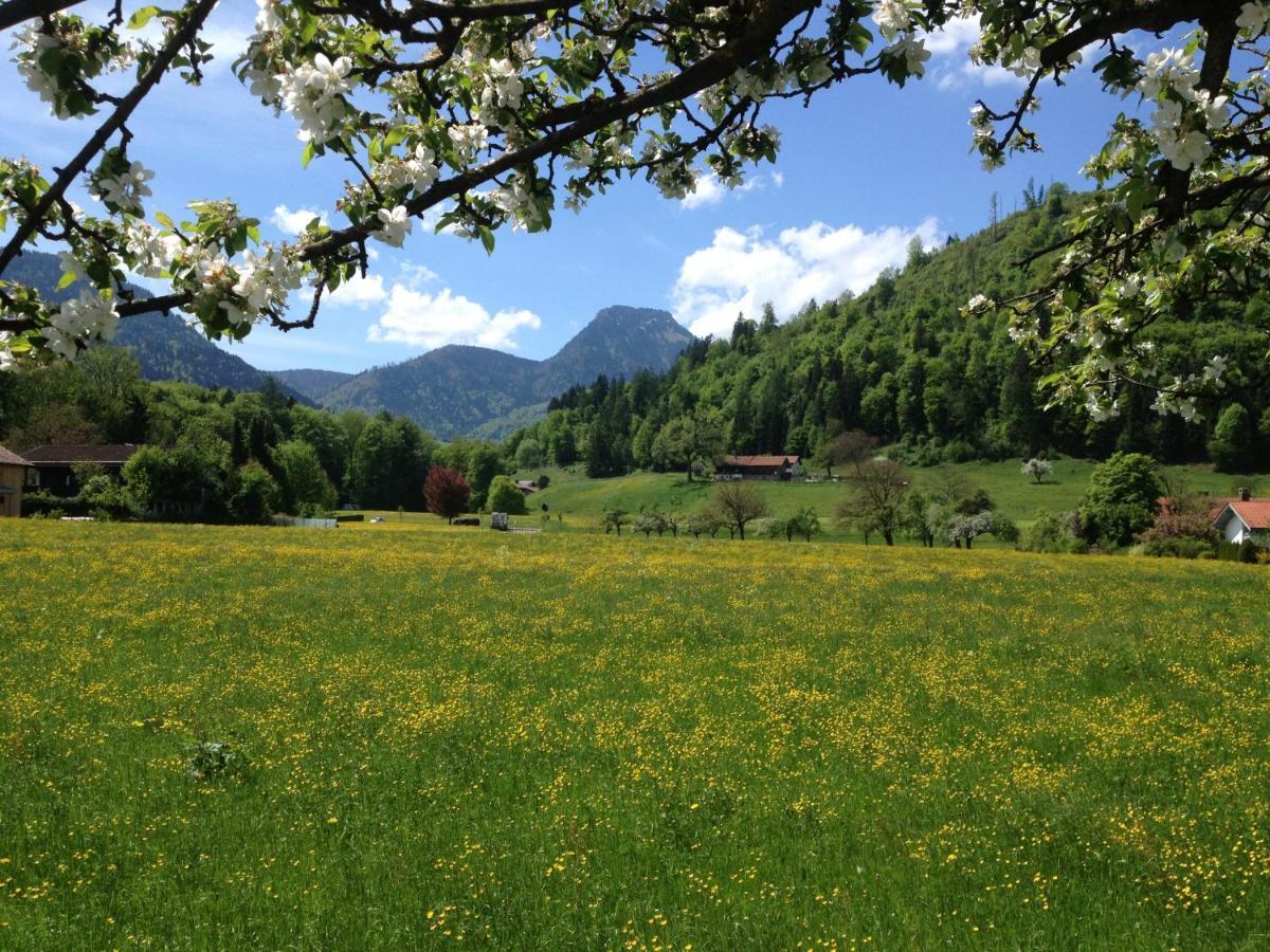 Alpenhof Landhotel Restaurant Oberaudorf Eksteriør bilde